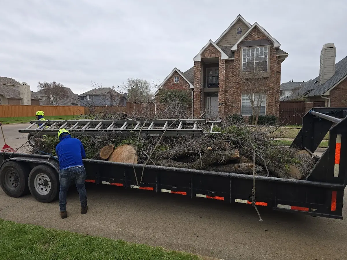 Expert Tree Fertilization with proper safety equipment in Compton
